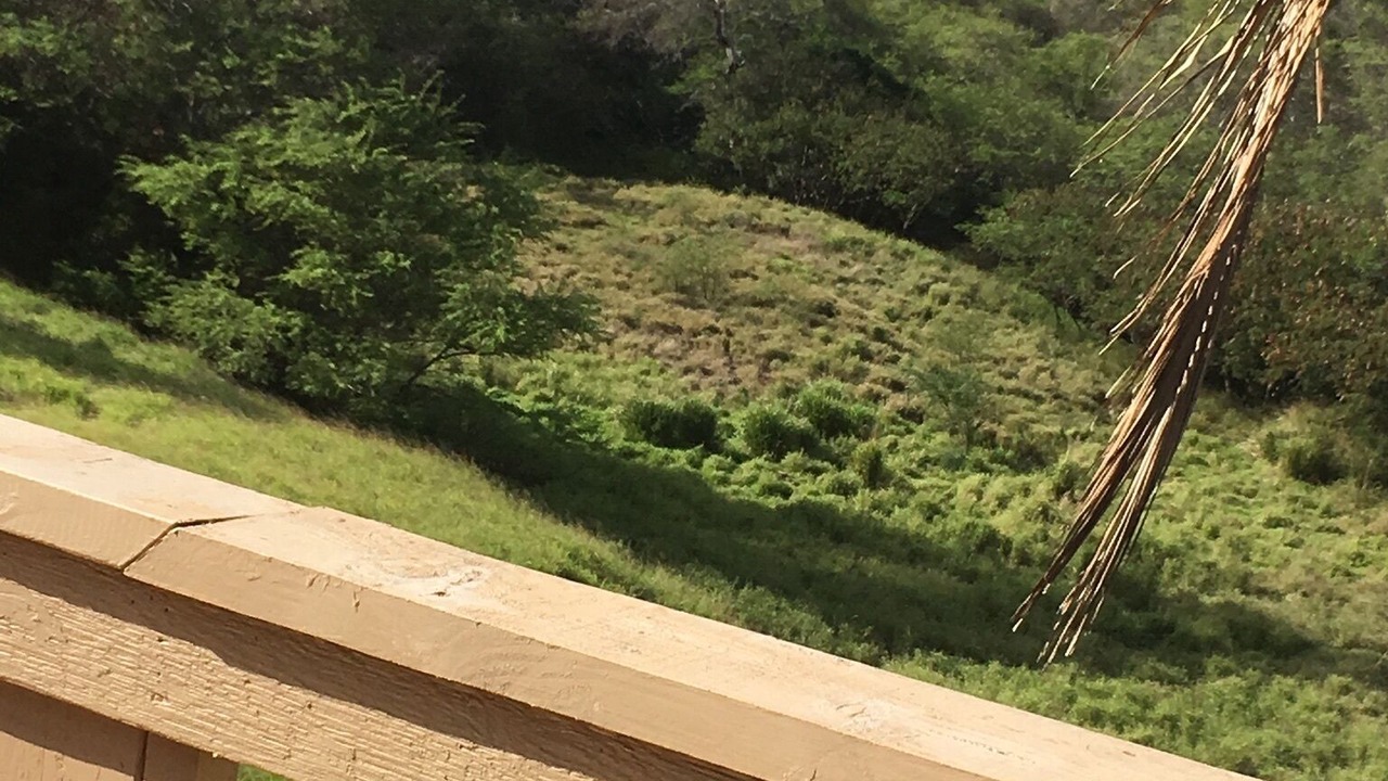 Photo of Outdoor in Maunaloa