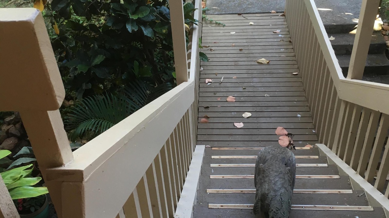 Photo of Others in Maunaloa