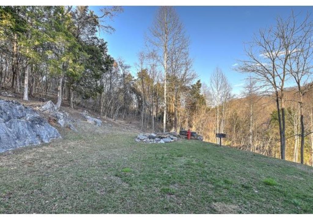 Photo of Outdoor in Piney Flats