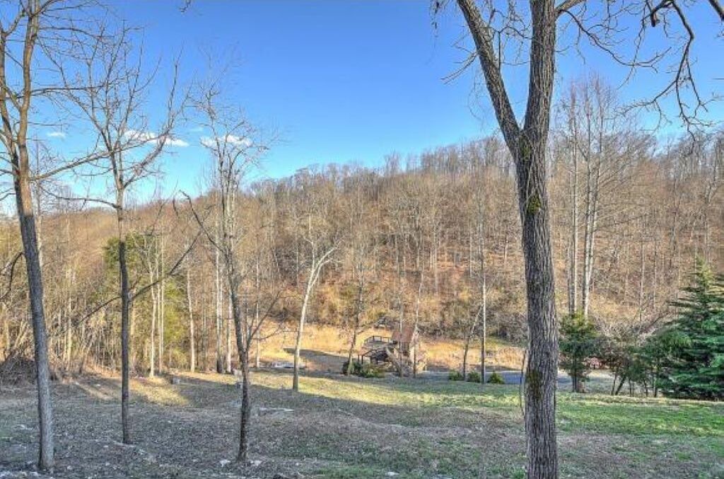 Photo of Outdoor in Piney Flats