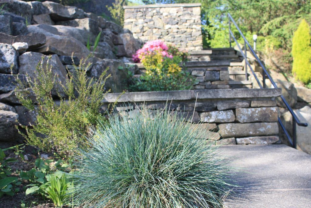 Photo of Others in Saddleworth