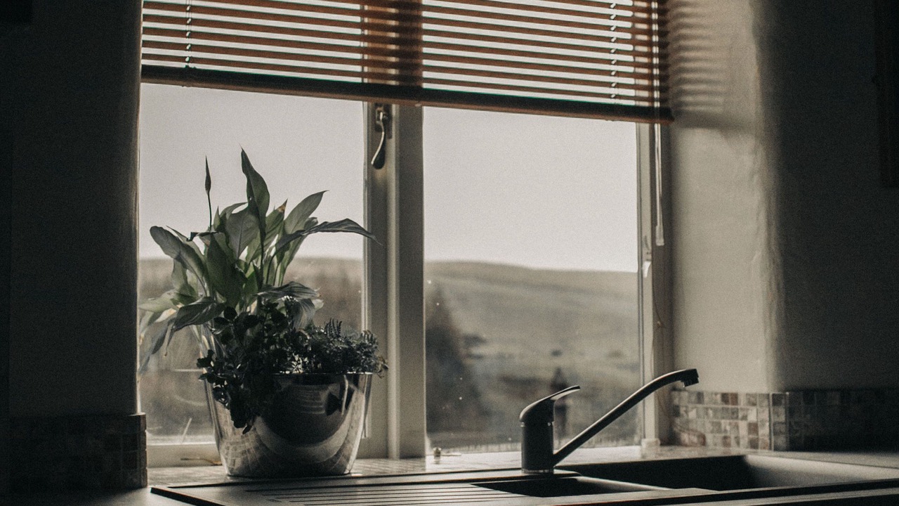 Photo of Others in Saddleworth