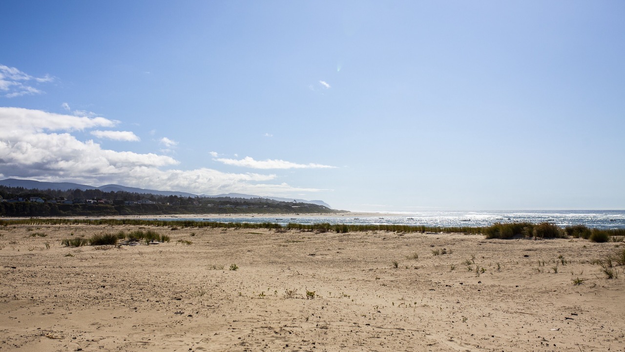 Photo of Others in Bayshore