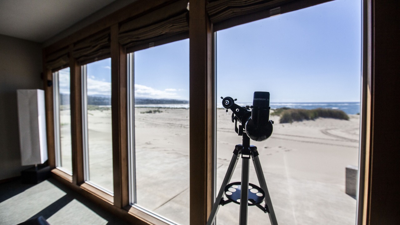 Photo of Others in Bayshore