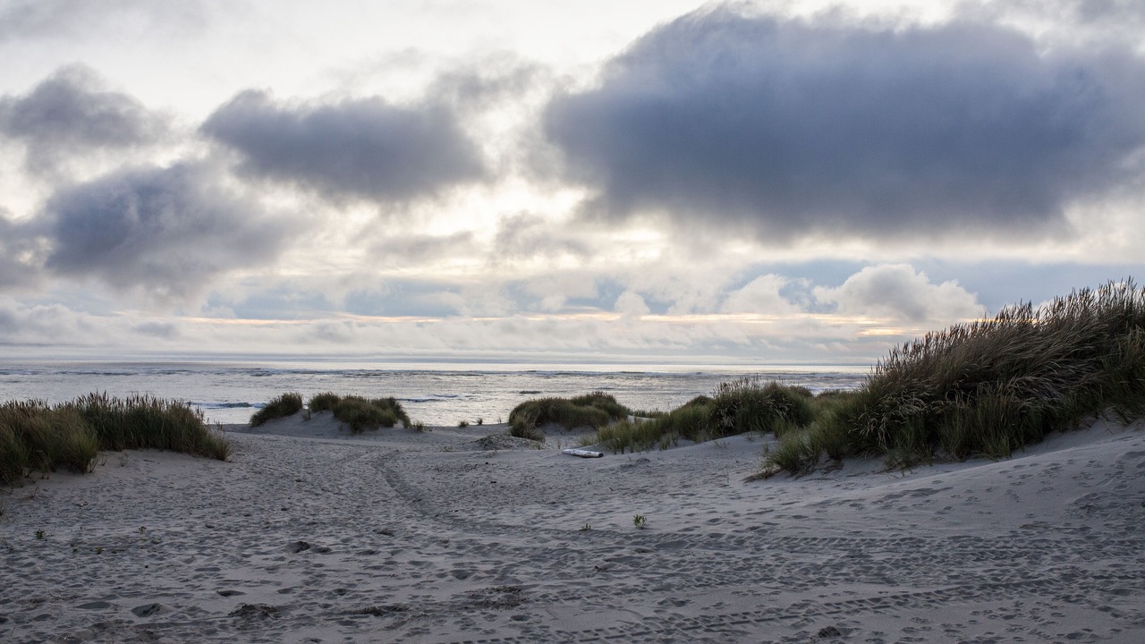 Photo of Others in Bayshore