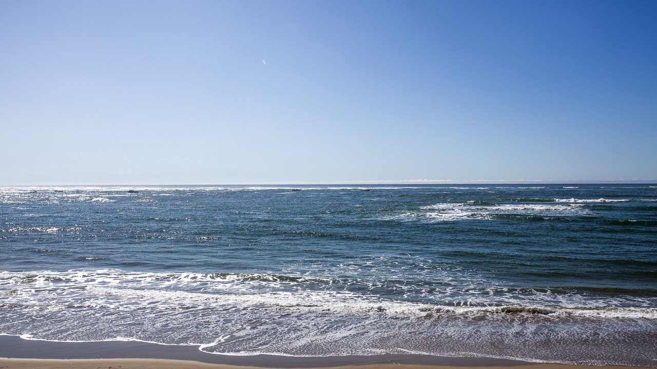 Photo of Others in Bayshore