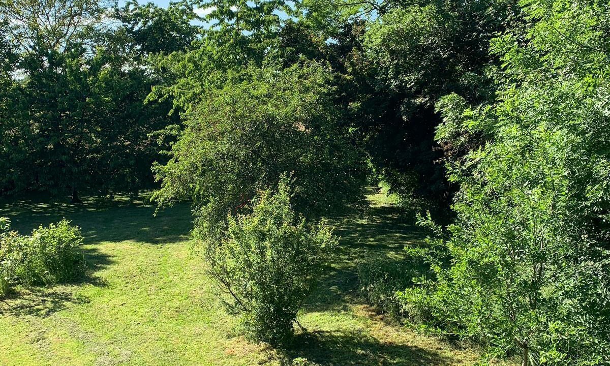 Photo of Outdoor in Bouhy