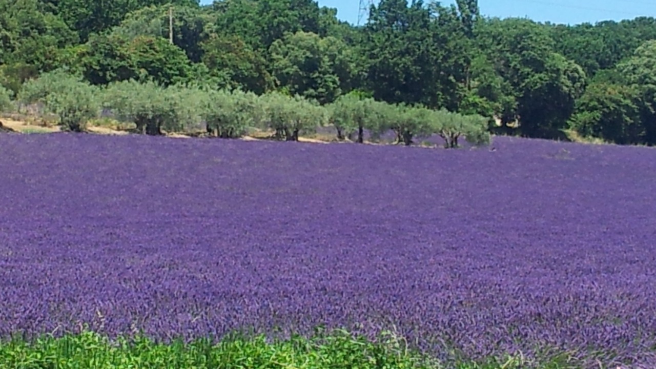 Photo of Outdoor in Grillon