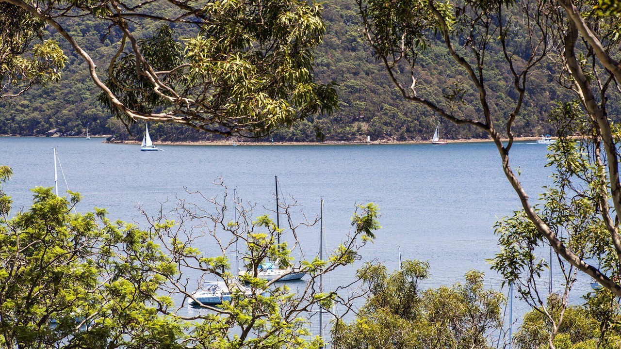 Photo of Others in Avalon Beach