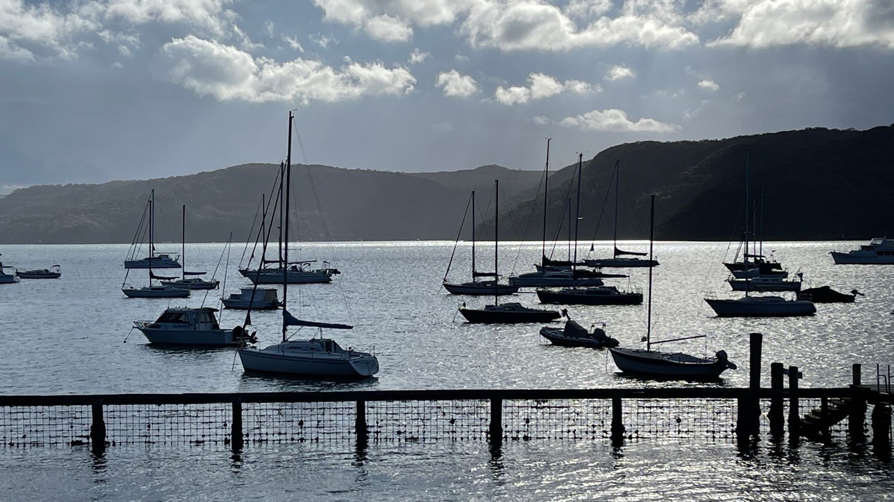 Photo of Others in Avalon Beach