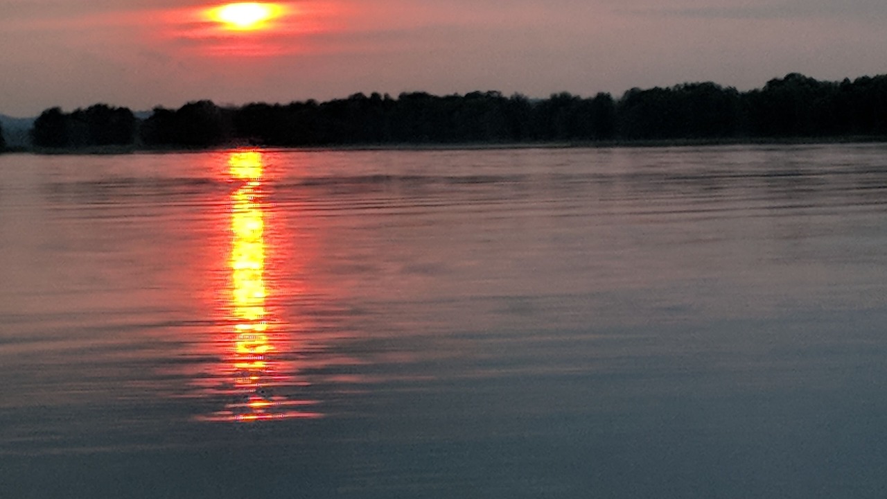 Photo of Others in Clarence-Rockland