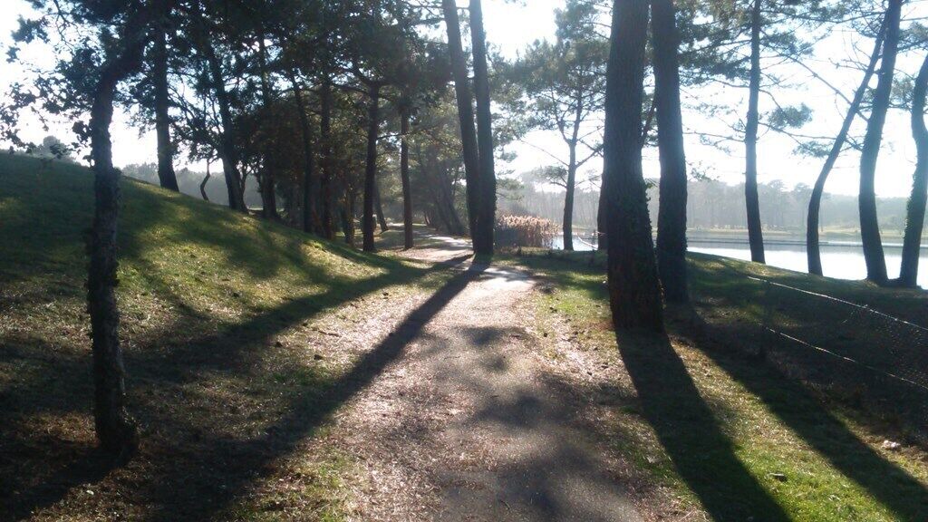 Photo of Outdoor in Soustons