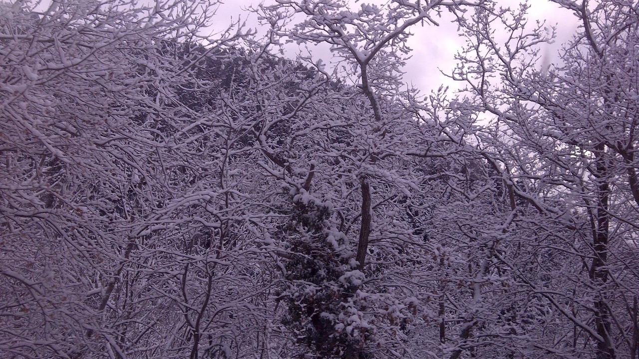 Photo of Others in Sallanches