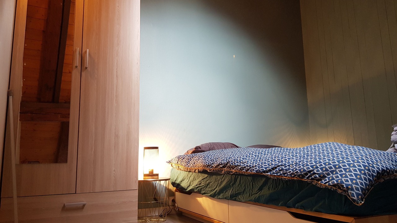 Photo of Bedroom in Sallanches