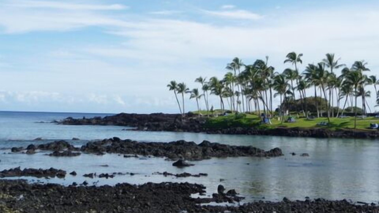 Photo of Others in Waikoloa Village