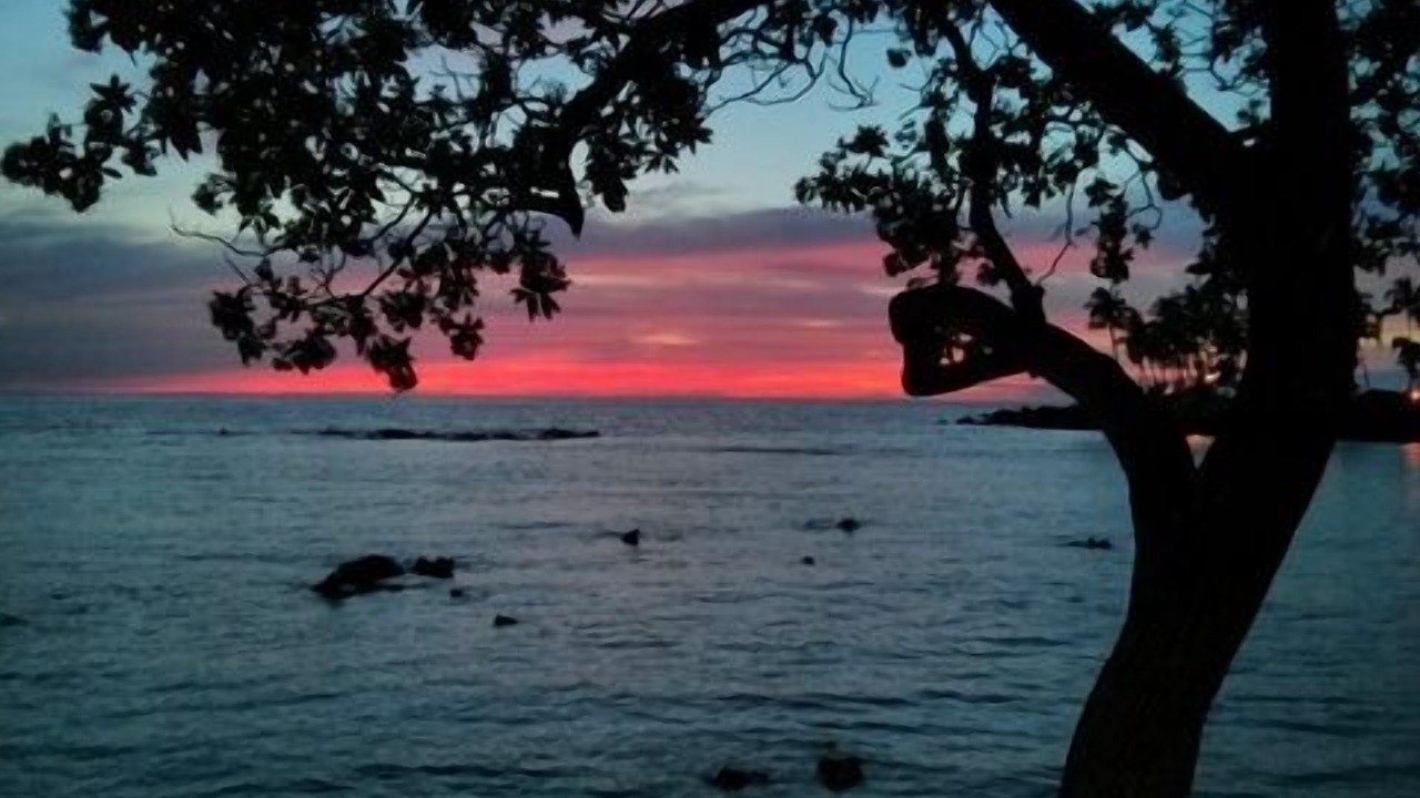 Photo of Others in Waikoloa Village