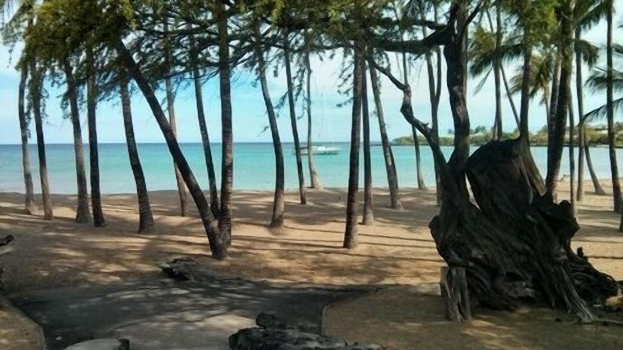 Photo of Others in Waikoloa Village