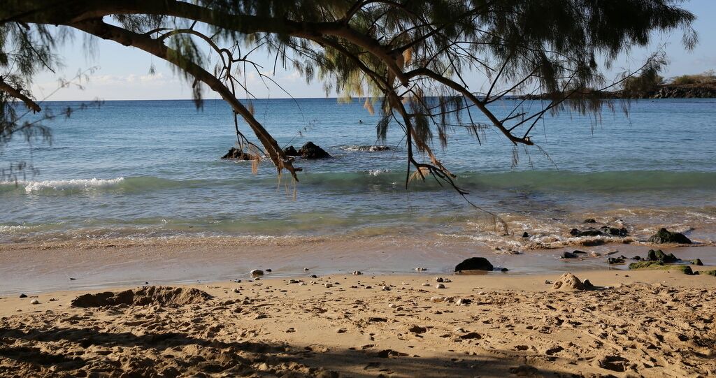 Photo of Others in Waikoloa Village