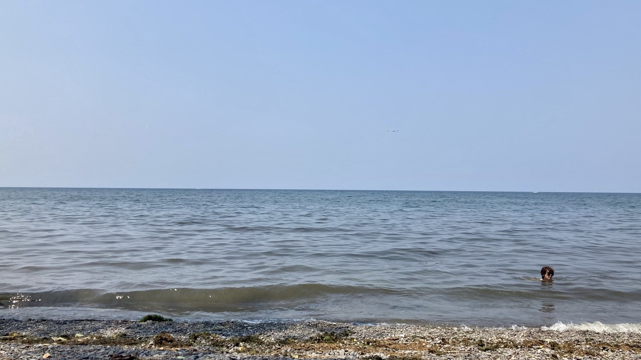 Photo of Outdoor in Wilson