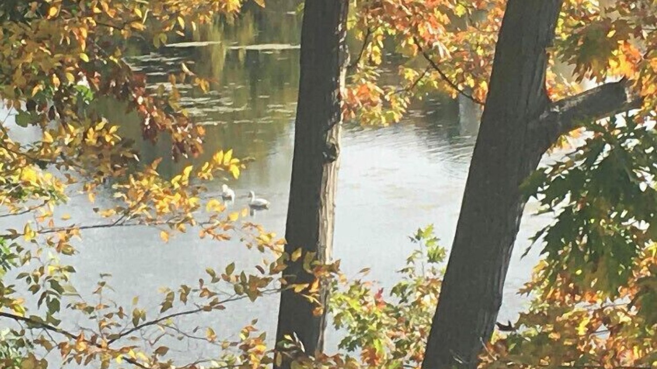 Photo of Others in Wilson