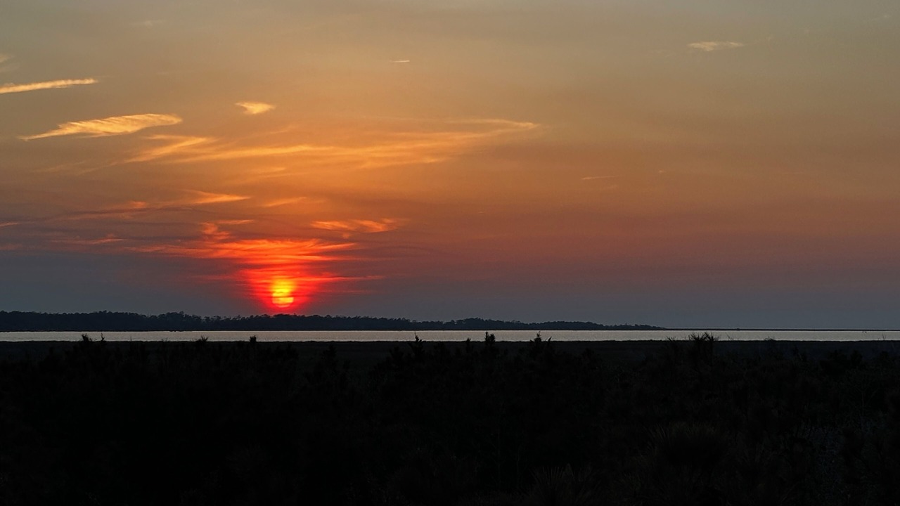 Photo of Others in Cedar Island