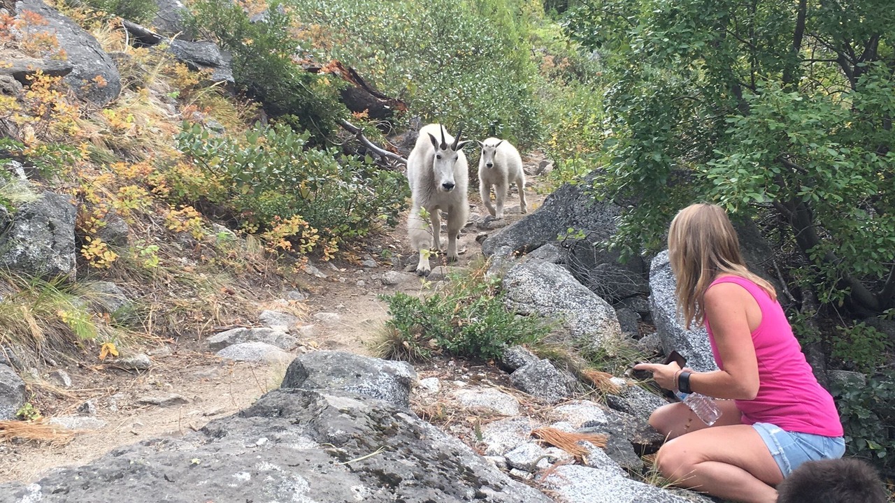 Photo of Others in Leavenworth