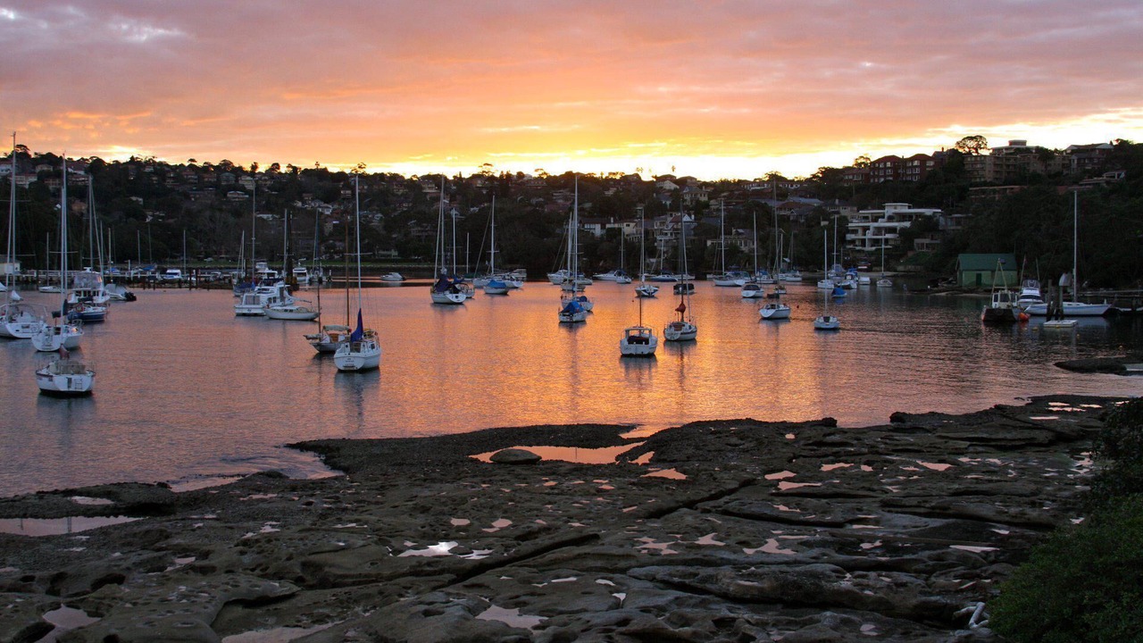 Photo of Others in Palm Beach