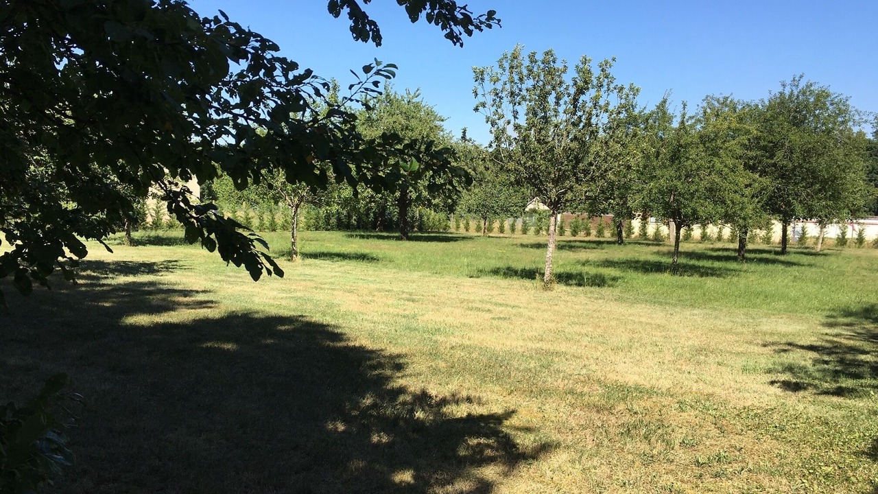 Photo of Outdoor in Saint-Georges-Motel