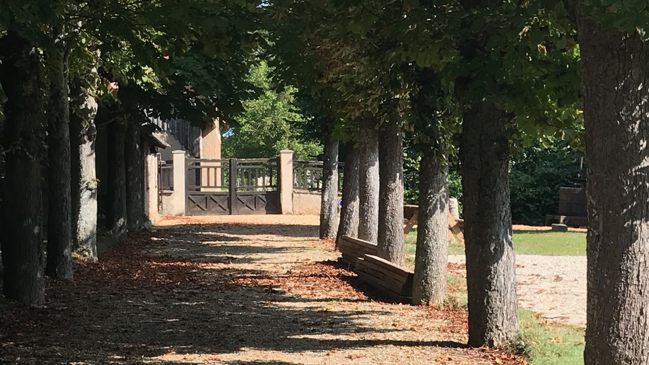 Photo of Outdoor in Saint-Georges-Motel