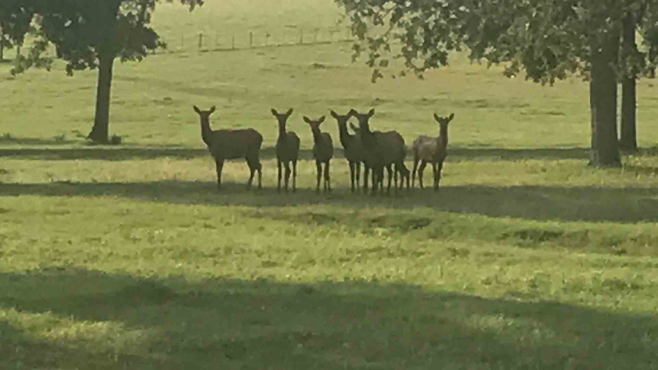 Photo of Outdoor in Brenham