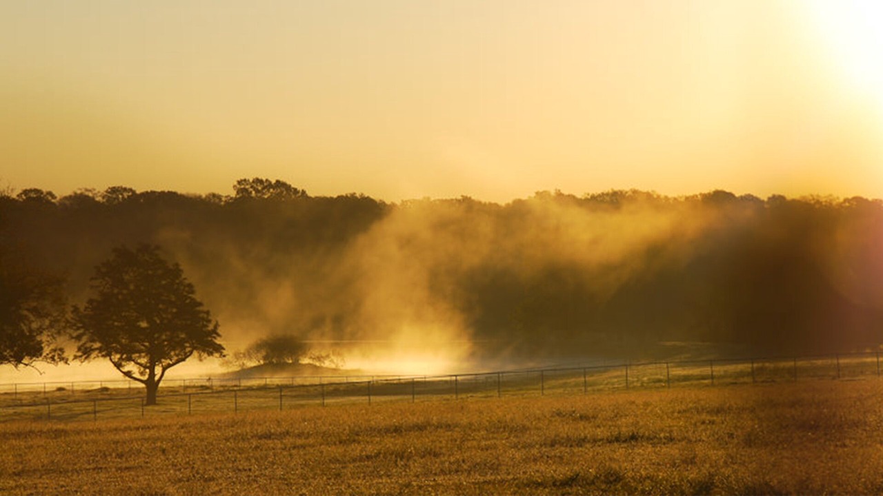 Photo of Outdoor in Brenham