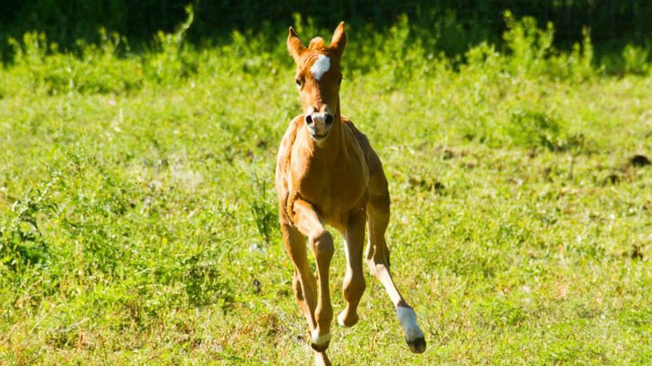 Photo of Outdoor in Brenham
