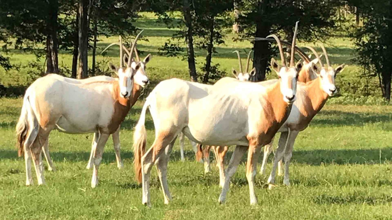 Photo of Outdoor in Brenham