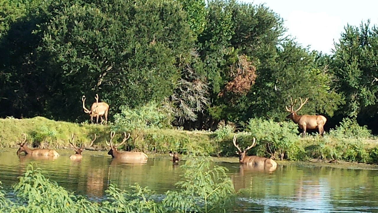 Photo of Others in Brenham