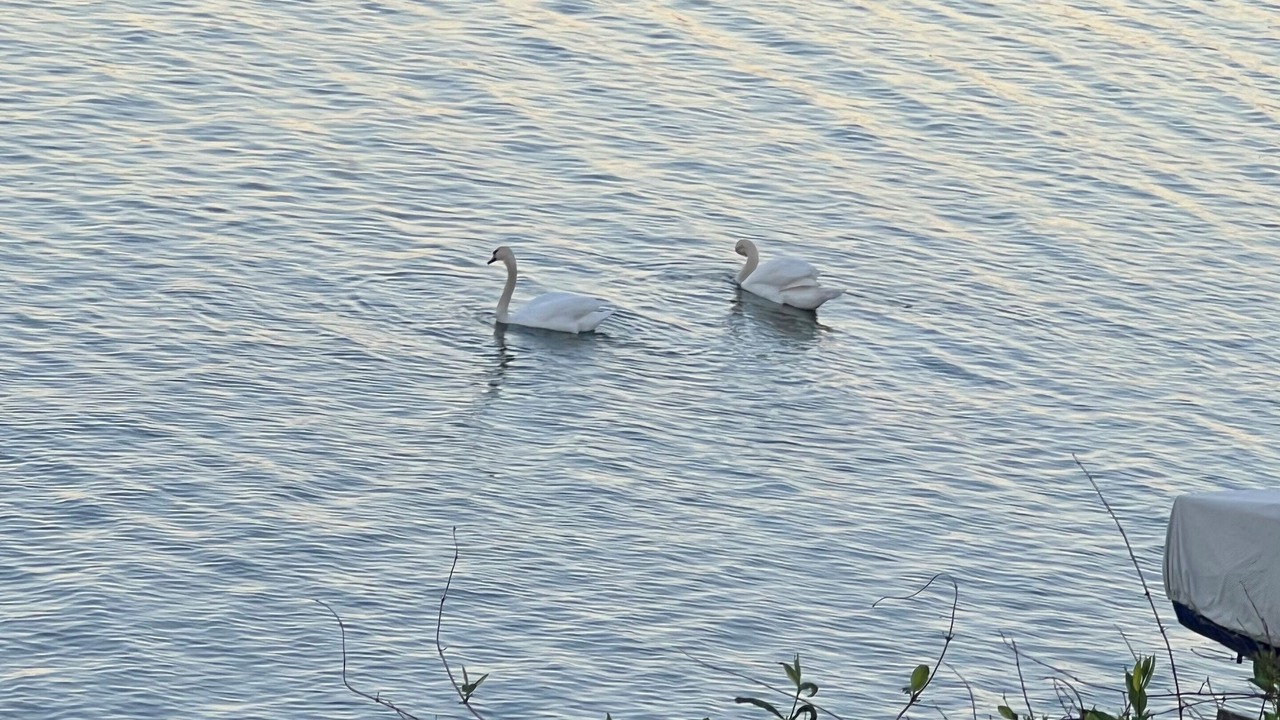Photo of Outdoor in Seneca Falls