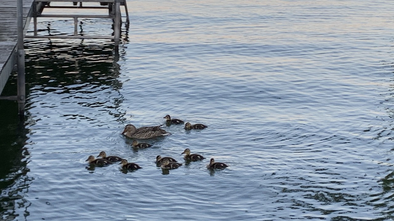 Photo of Outdoor in Seneca Falls