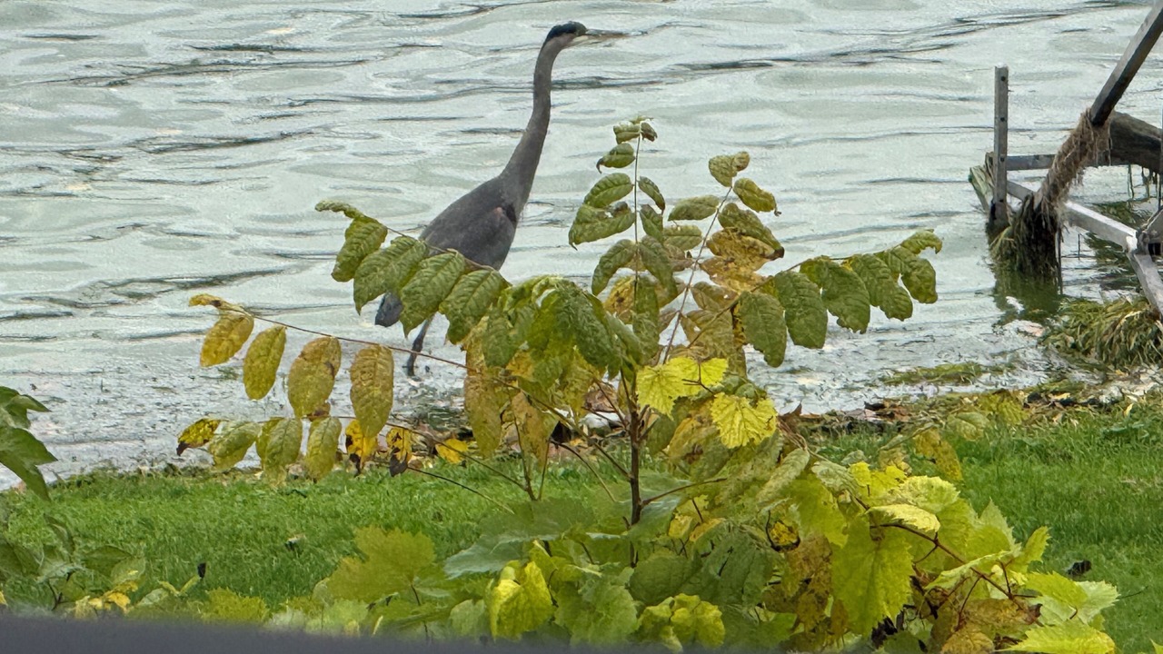 Photo of Outdoor in Seneca Falls