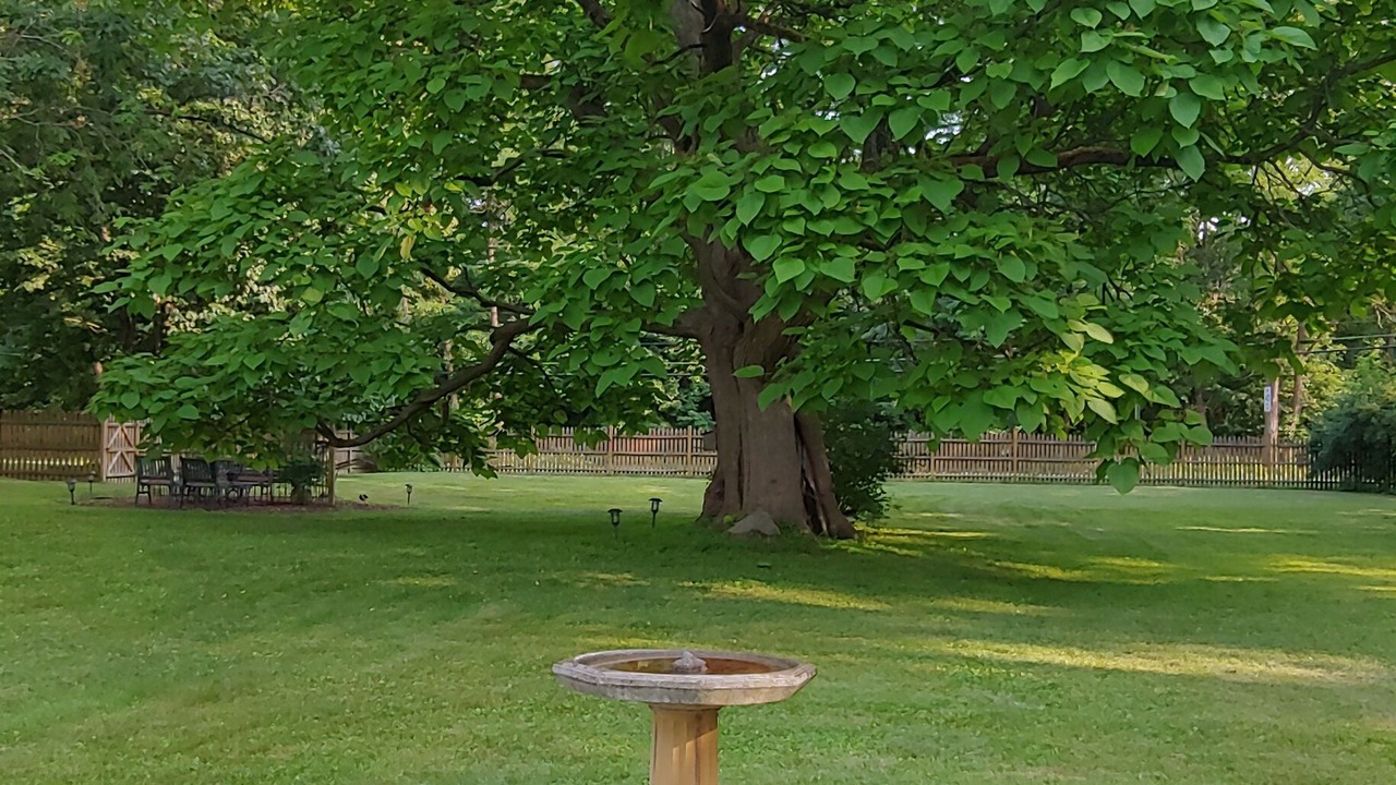 Photo of Outdoor in Saratoga Springs