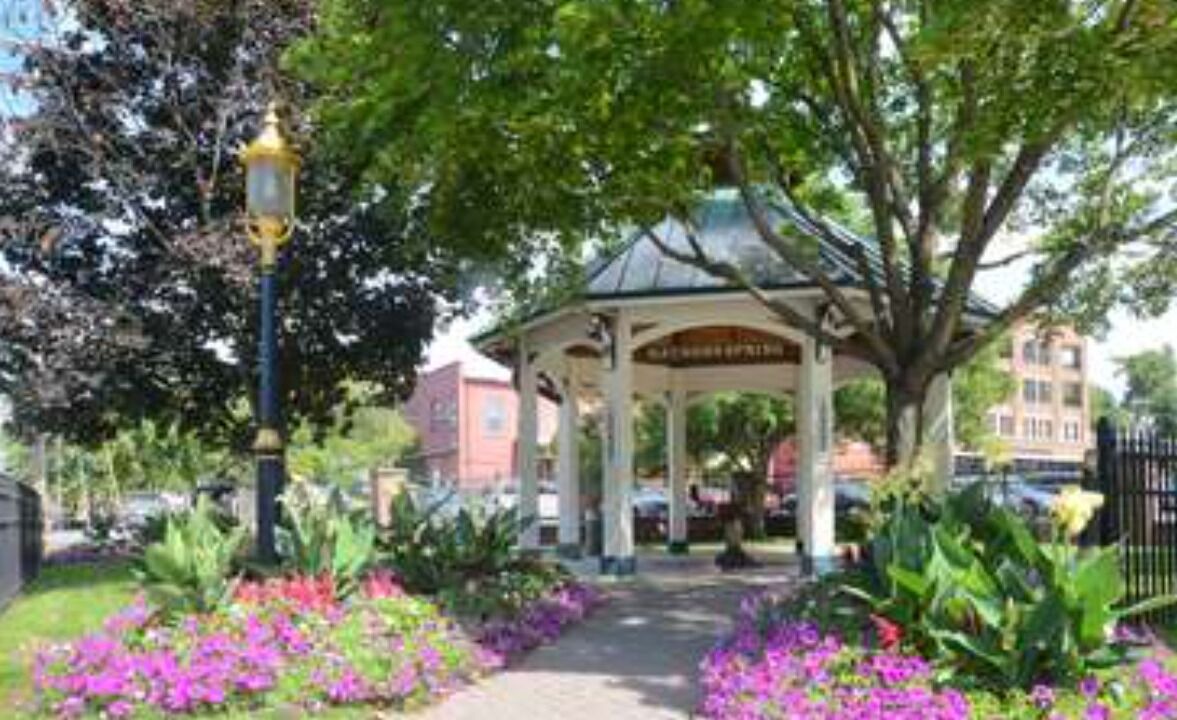 Photo of Others in Saratoga Springs