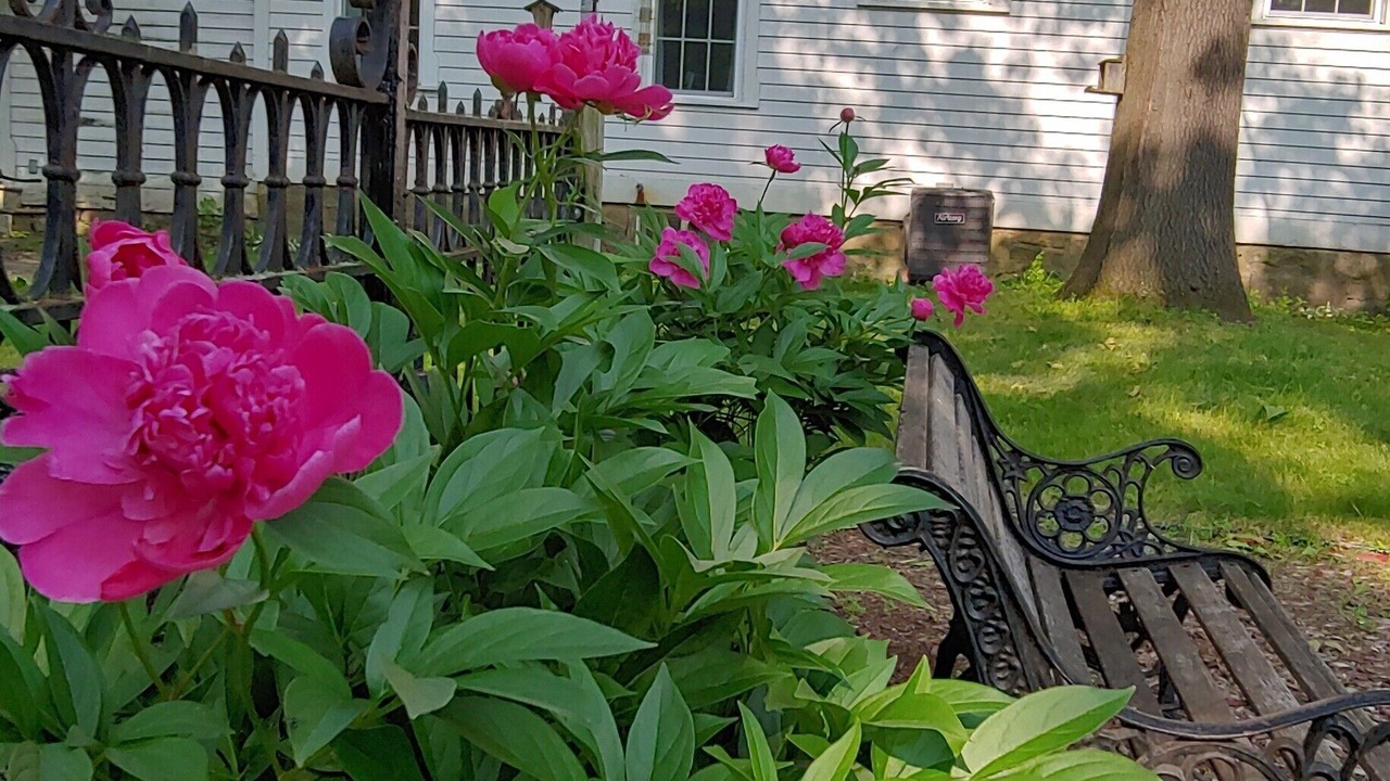 Photo of Outdoor in Saratoga Springs