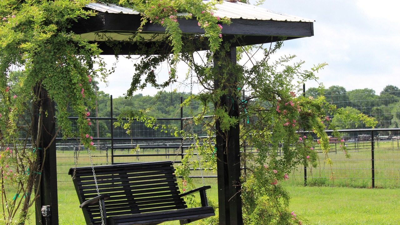 Photo of Outdoor in Brenham