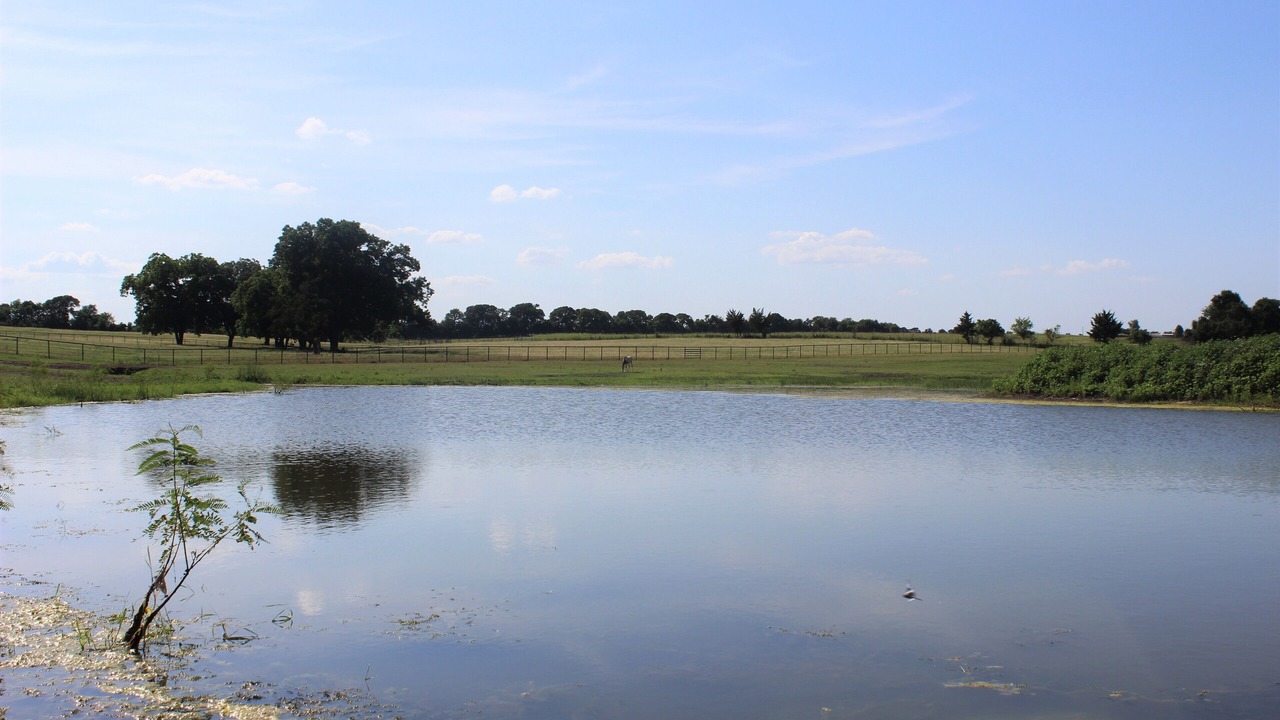 Photo of Outdoor in Brenham