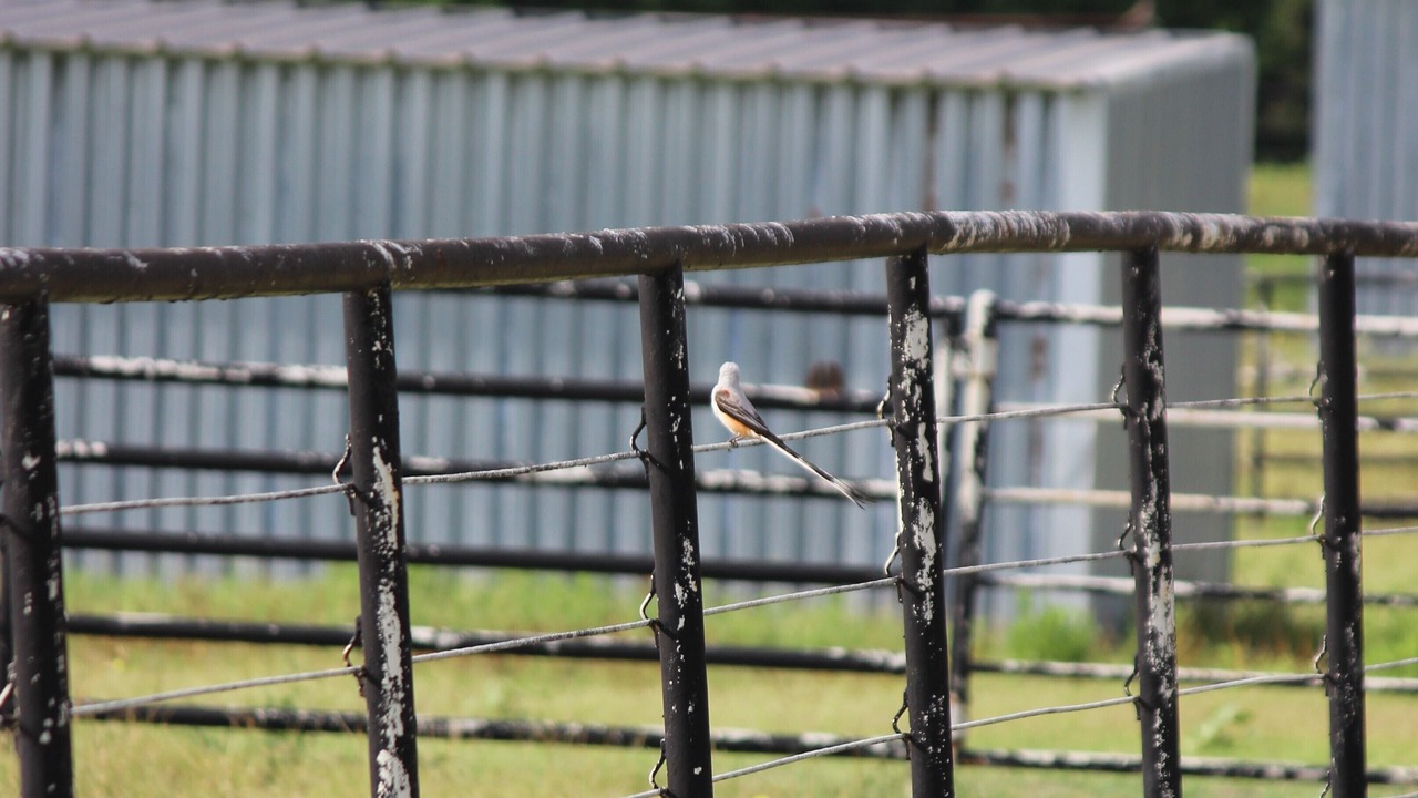 Photo of Others in Brenham