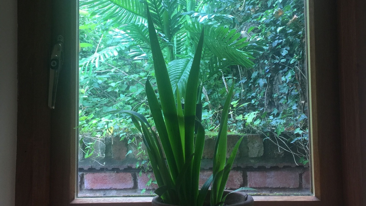 Photo of Others in Kinver