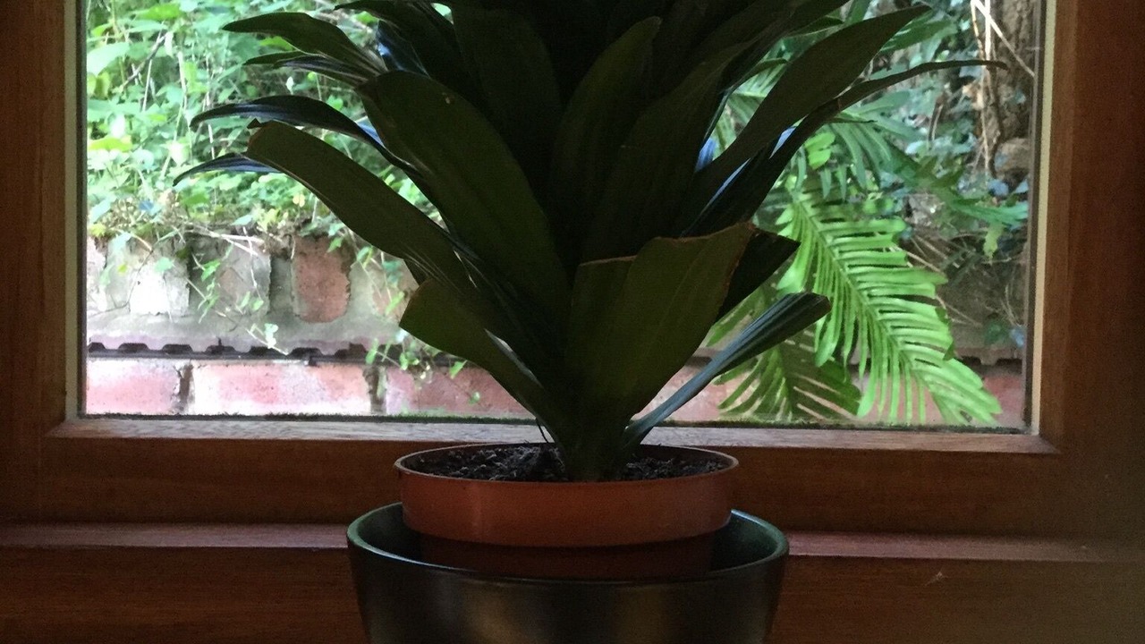 Photo of Others in Kinver