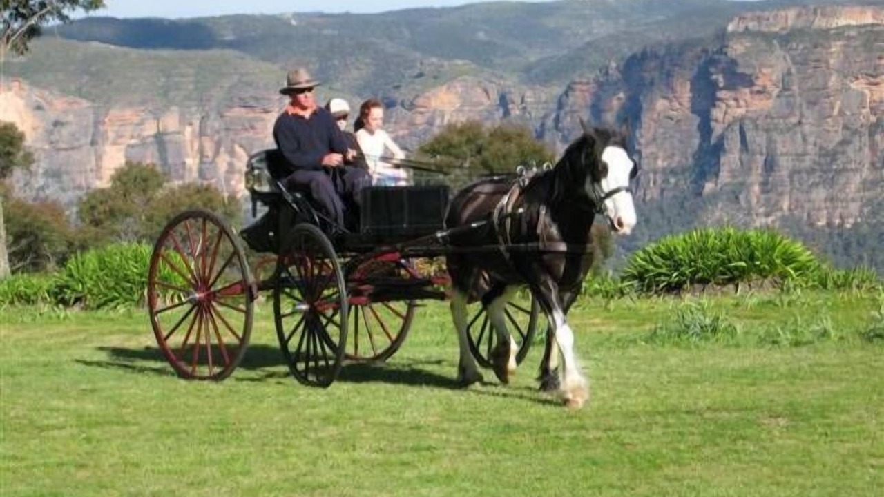 Photo of Outdoor in Blackheath