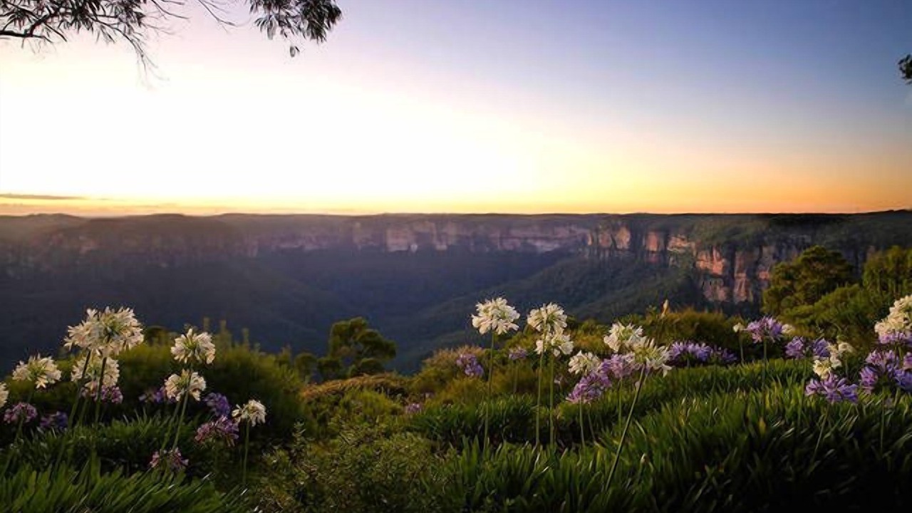 Photo of Outdoor in Blackheath