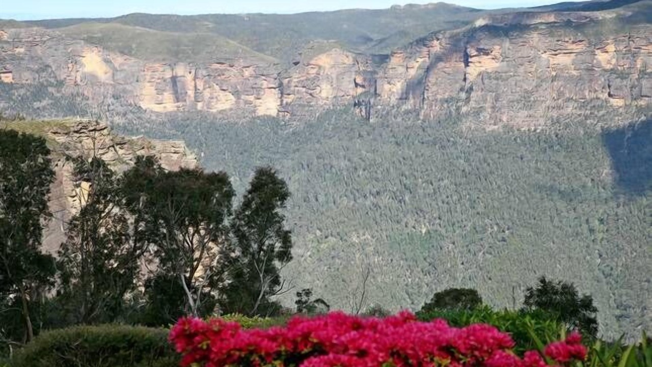 Photo of Outdoor in Blackheath
