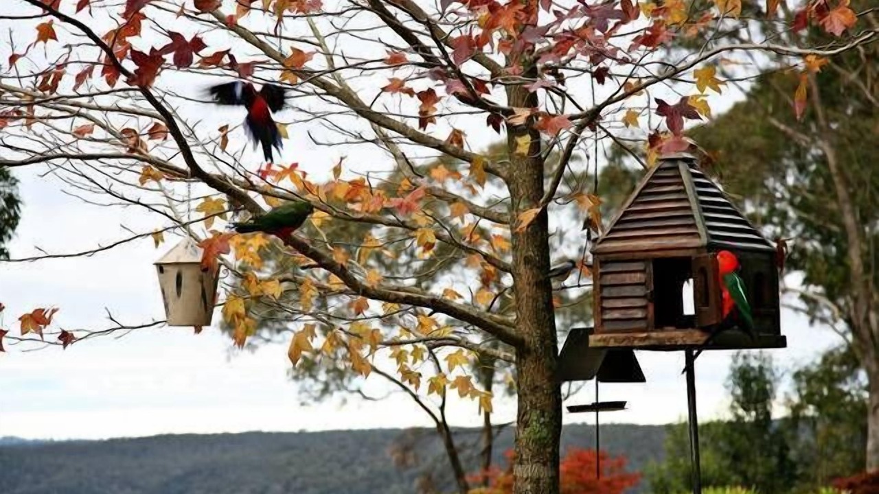 Photo of Outdoor in Blackheath