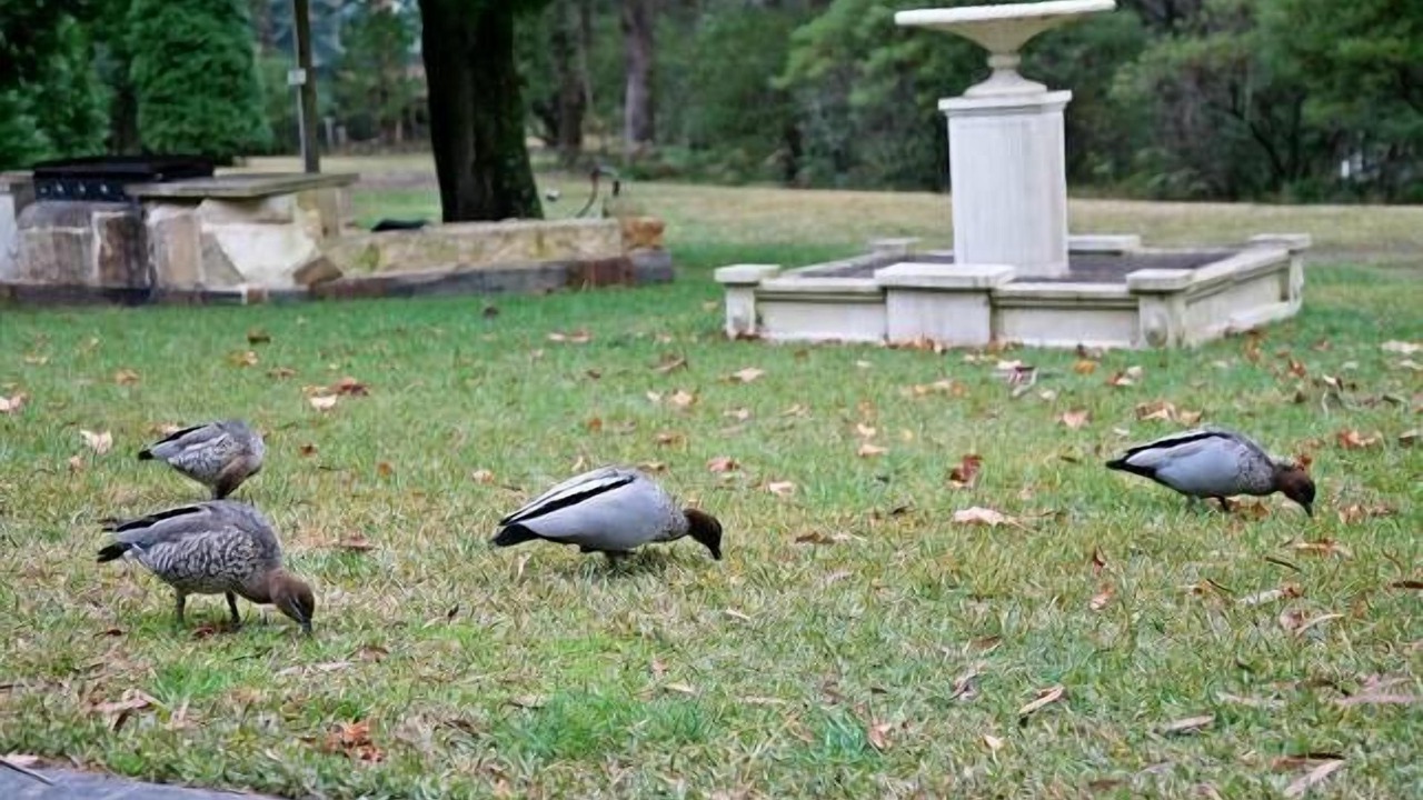 Photo of Outdoor in Blackheath